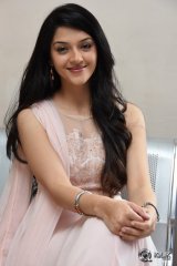 Mehreen at Krishna Gadi Veera Prema Gaadha Movie Thanks Meet